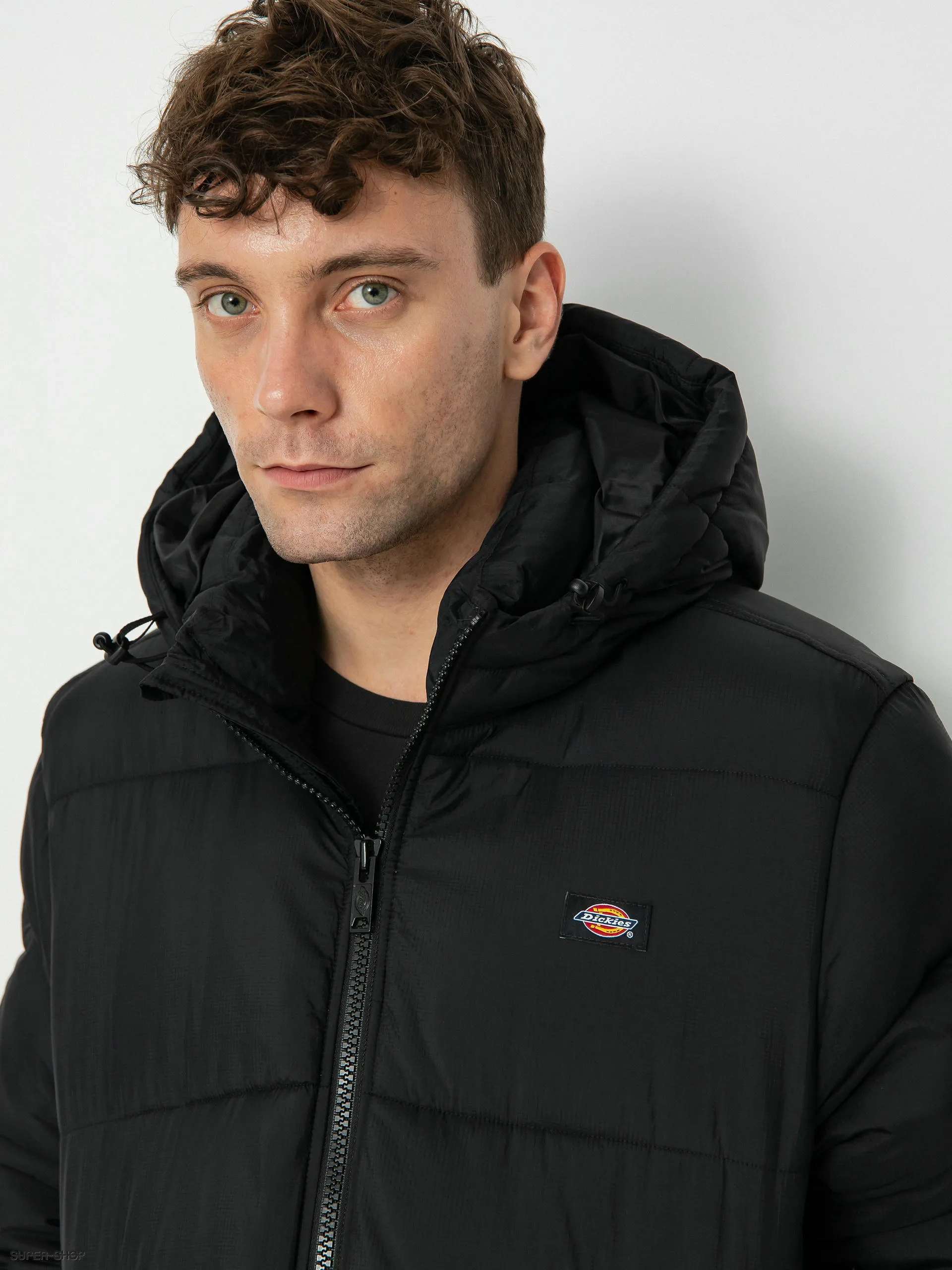 Dickies Waldenburg Jacket (black)